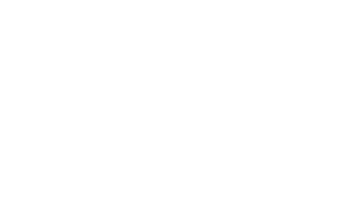 FSM-Logo